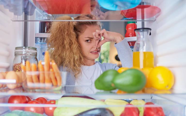 دلیل بوی بد یخچال